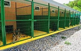 Köpek Oteli 
