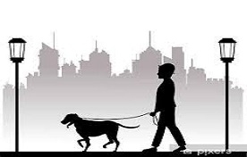 Köpek Gezdirme 